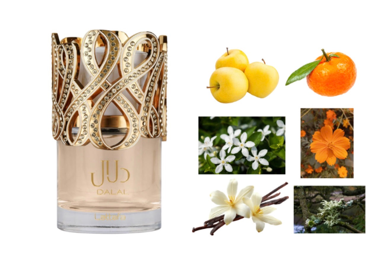 Lattafa Dalal Eau de Parfum – Hank & Henry Beauty